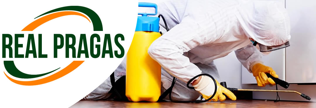 Dedetizadora em Curitiba